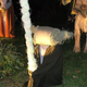 Illustration for article titled emStar Wars/em made entirely out of scarecrows wins best Halloween lawn on this Earth